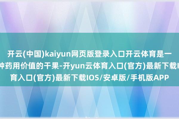 开云(中国)kaiyun网页版登录入口开云体育是一种养分价值高、具有多种药用价值的干果-开yun云体育入口(官方)最新下载IOS/安卓版/手机版APP