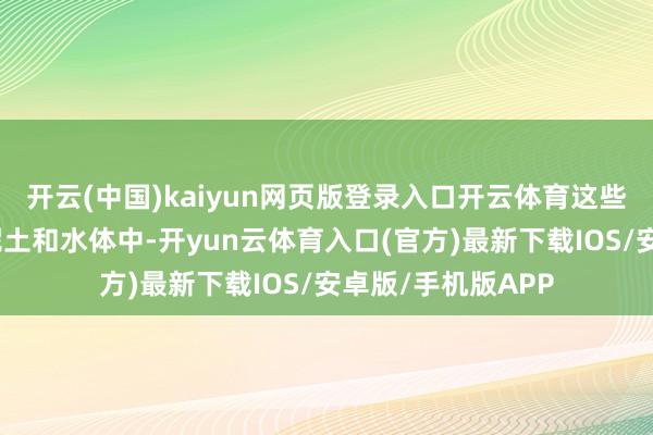 开云(中国)kaiyun网页版登录入口开云体育这些颗粒会千里积在泥土和水体中-开yun云体育入口(官方)最新下载IOS/安卓版/手机版APP