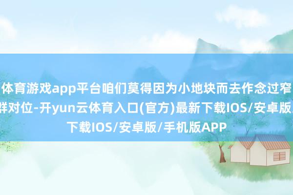 体育游戏app平台咱们莫得因为小地块而去作念过窄的东说念主群对位-开yun云体育入口(官方)最新下载IOS/安卓版/手机版APP