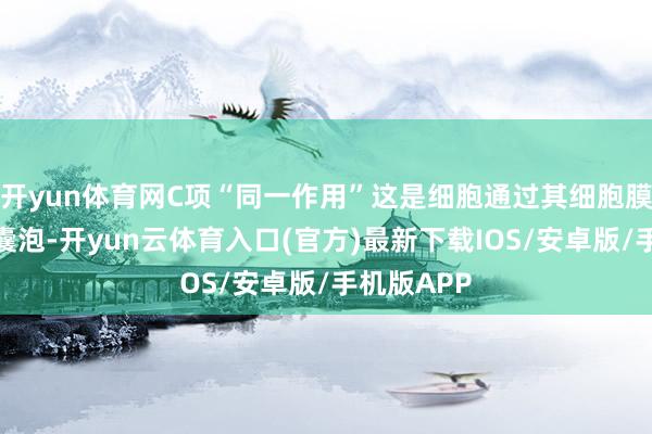 开yun体育网C项“同一作用”这是细胞通过其细胞膜内陷形成囊泡-开yun云体育入口(官方)最新下载IOS/安卓版/手机版APP