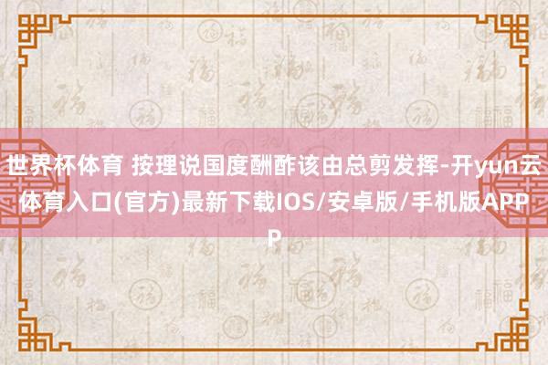 世界杯体育 按理说国度酬酢该由总剪发挥-开yun云体育入口(官方)最新下载IOS/安卓版/手机版APP