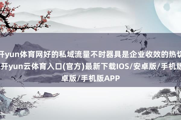 开yun体育网好的私域流量不时器具是企业收效的热切保险-开yun云体育入口(官方)最新下载IOS/安卓版/手机版APP