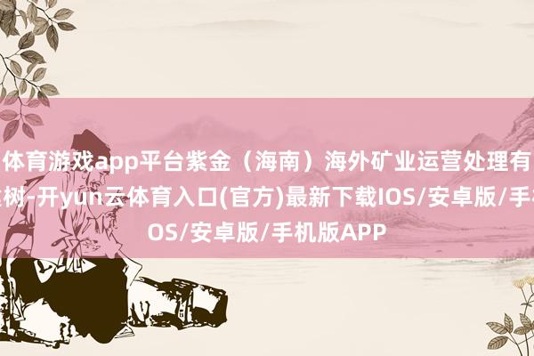 体育游戏app平台紫金（海南）海外矿业运营处理有限公司建树-开yun云体育入口(官方)最新下载IOS/安卓版/手机版APP