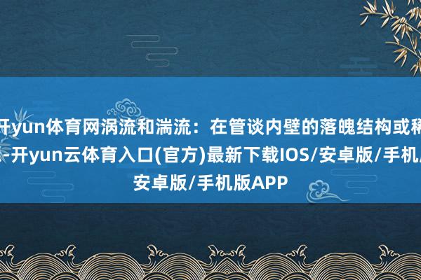 开yun体育网涡流和湍流：在管谈内壁的落魄结构或稀零联想-开yun云体育入口(官方)最新下载IOS/安卓版/手机版APP